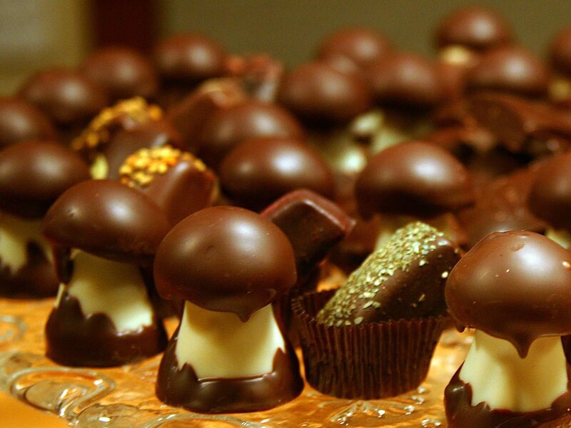 chocolate mushroom candies
