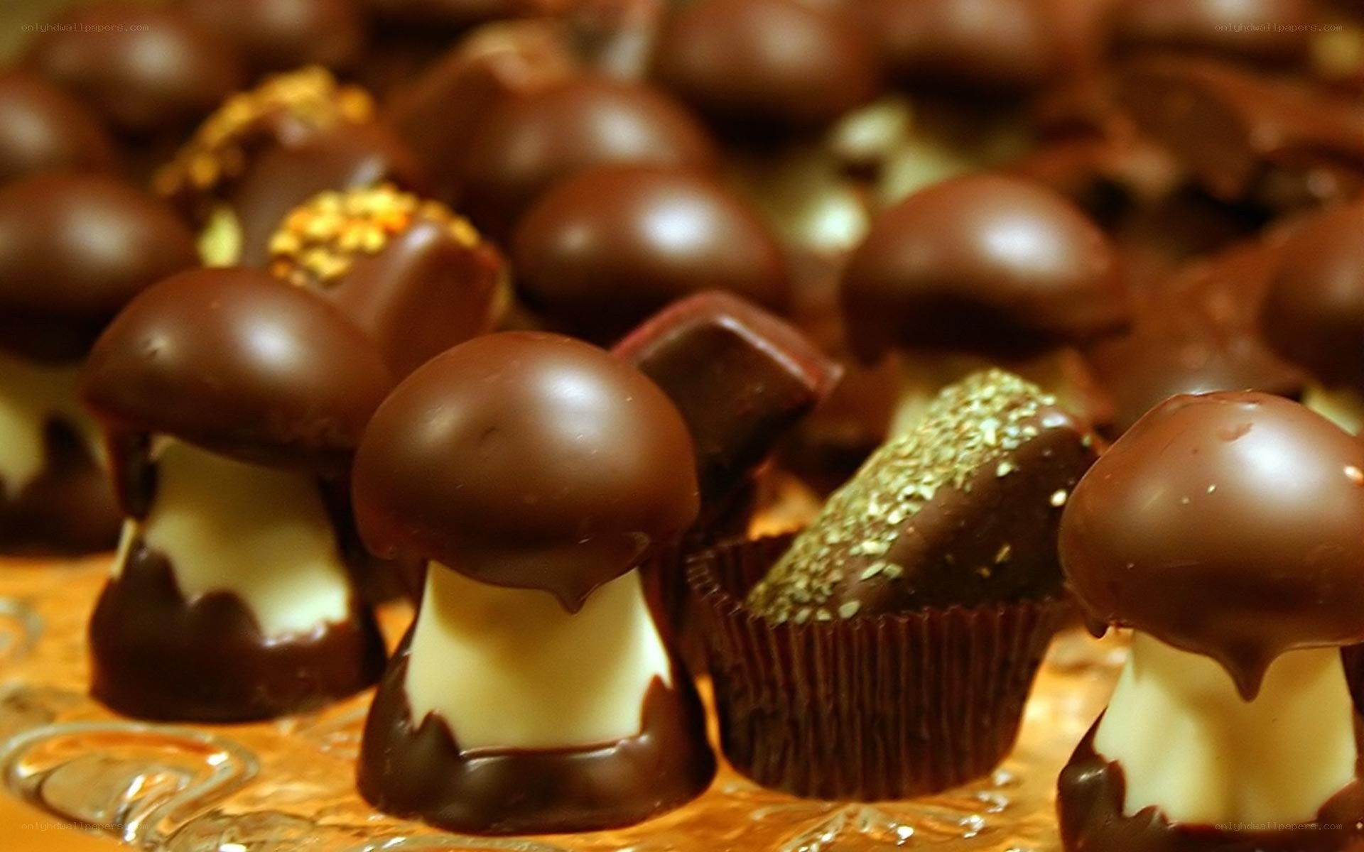 chocolate mushroom candies