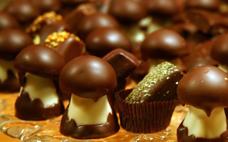 Chocolate Mushrooms — Brown, Indulgent