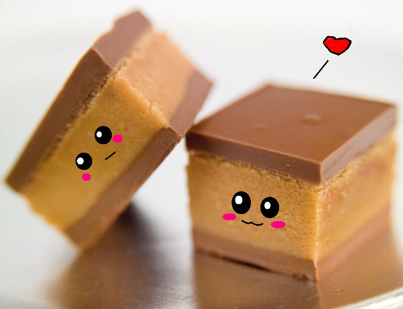 Chocolate Peanut Butter Bars