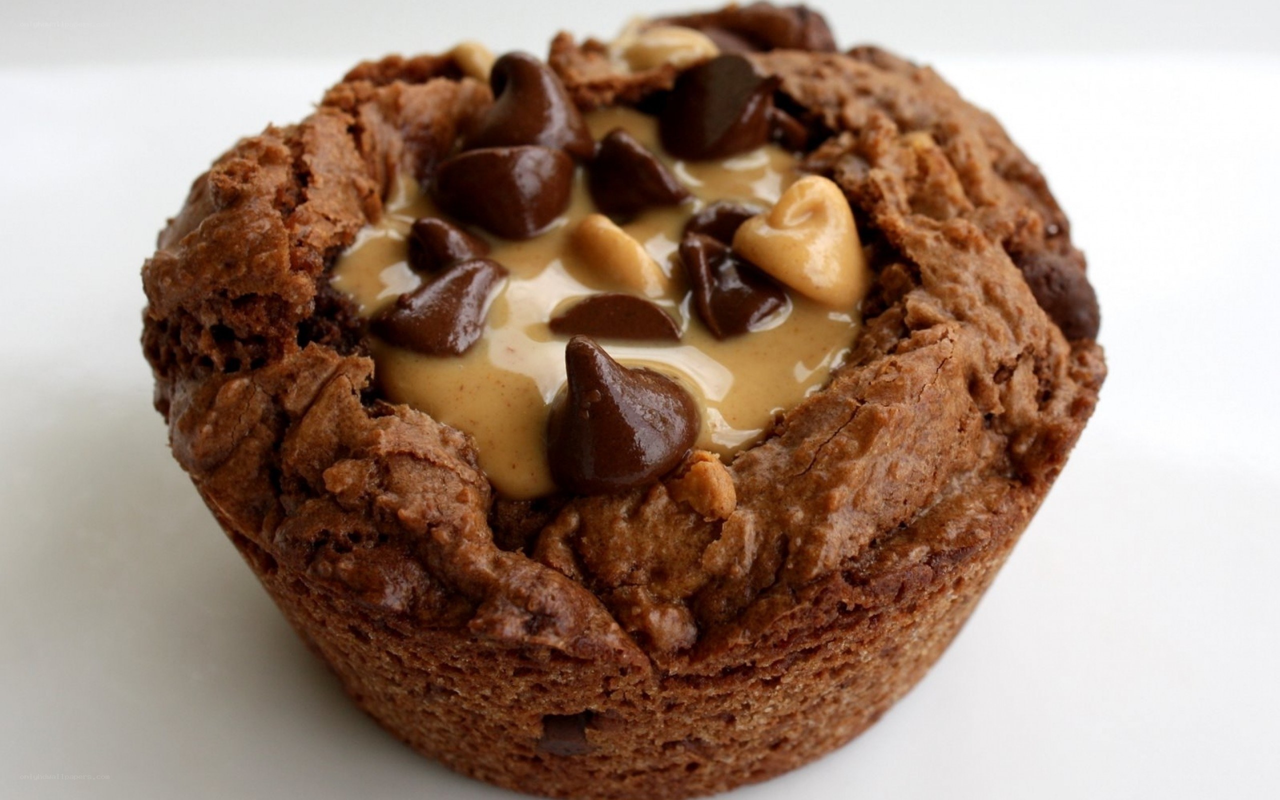 chocolate peanut butter muffin