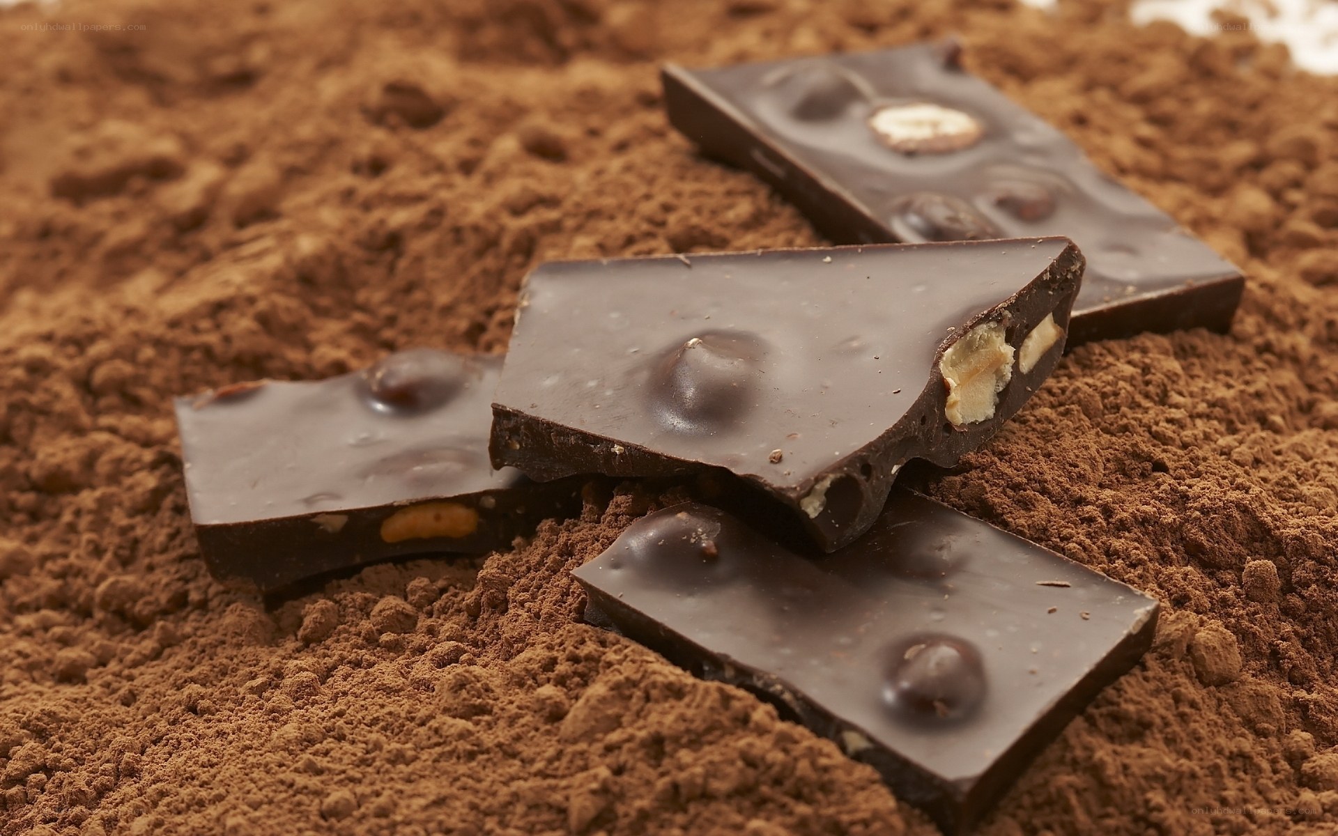 chocolate pieces on cocoa powder