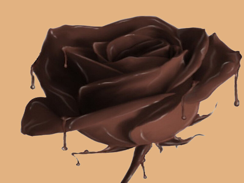 Chocolate Rose