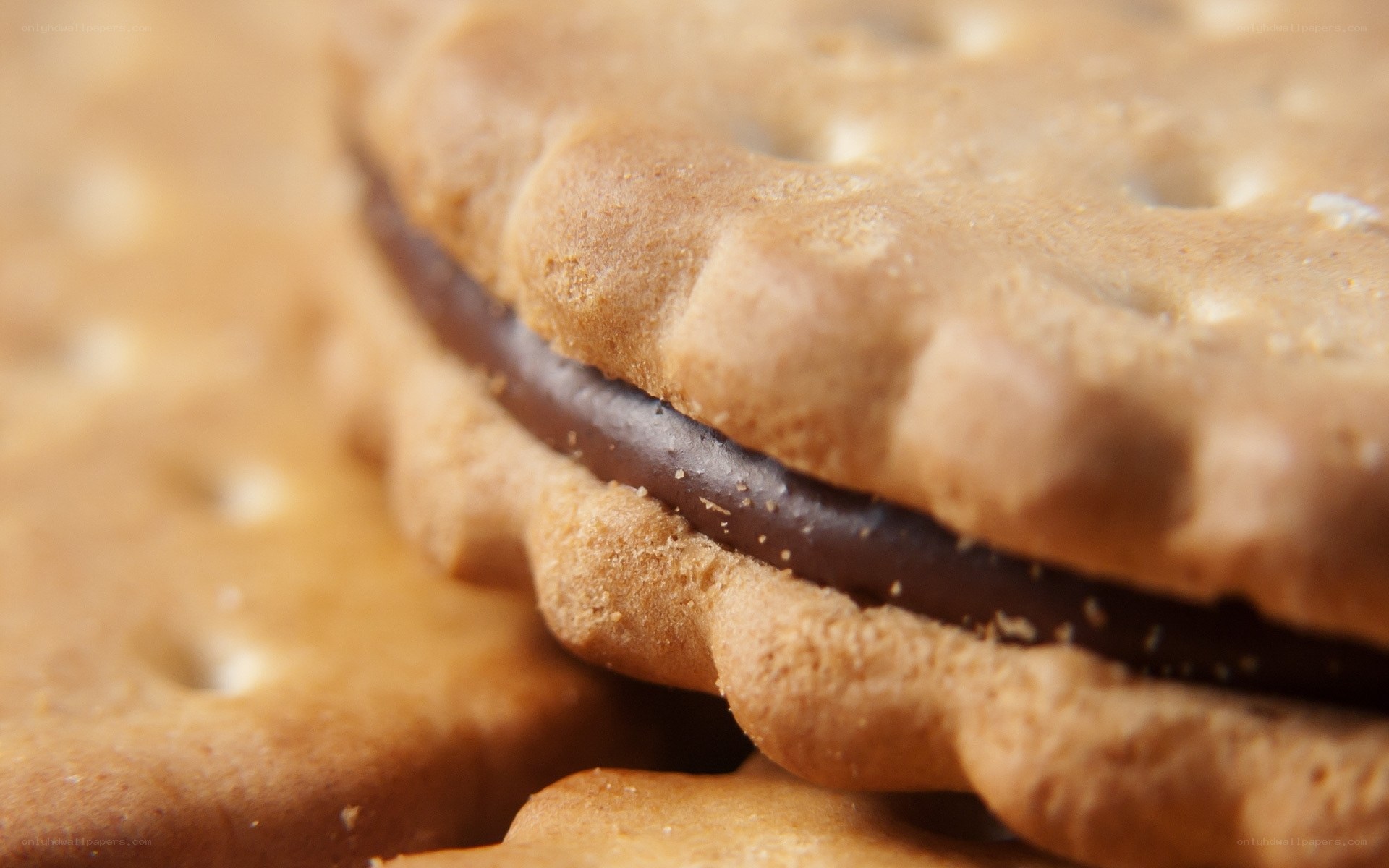 chocolate sandwich cookies