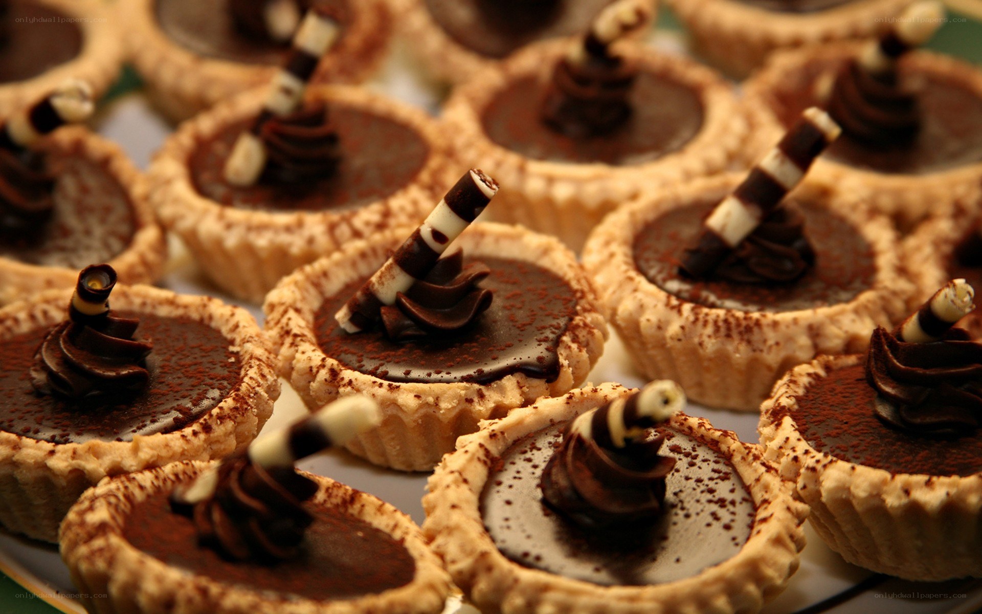 chocolate tartlets with chocolate garnish