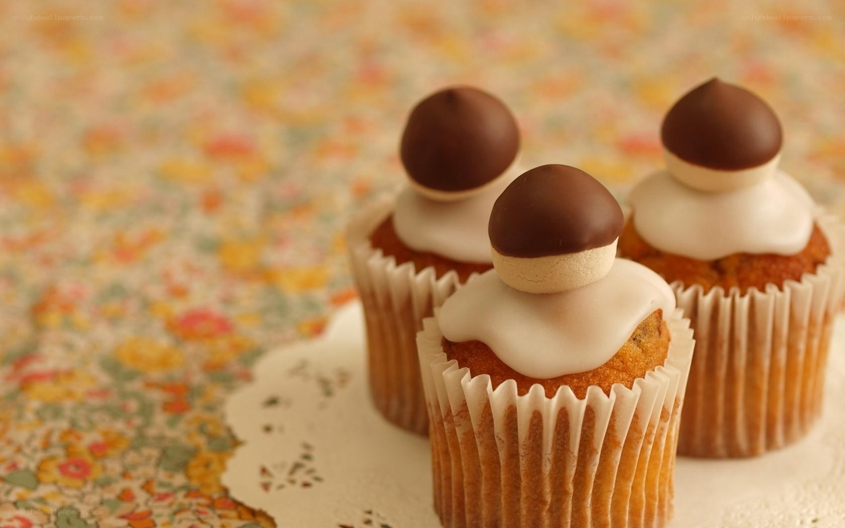 chocolate-topped cupcakes