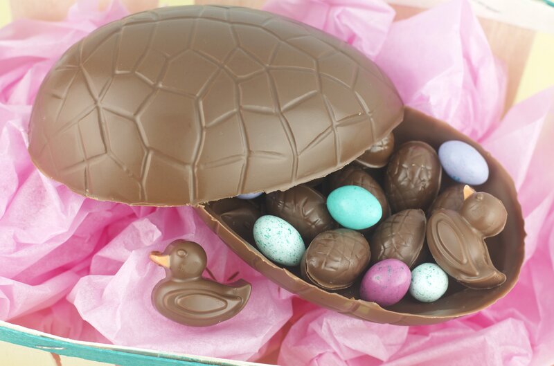 Chocolate Turtle Egg