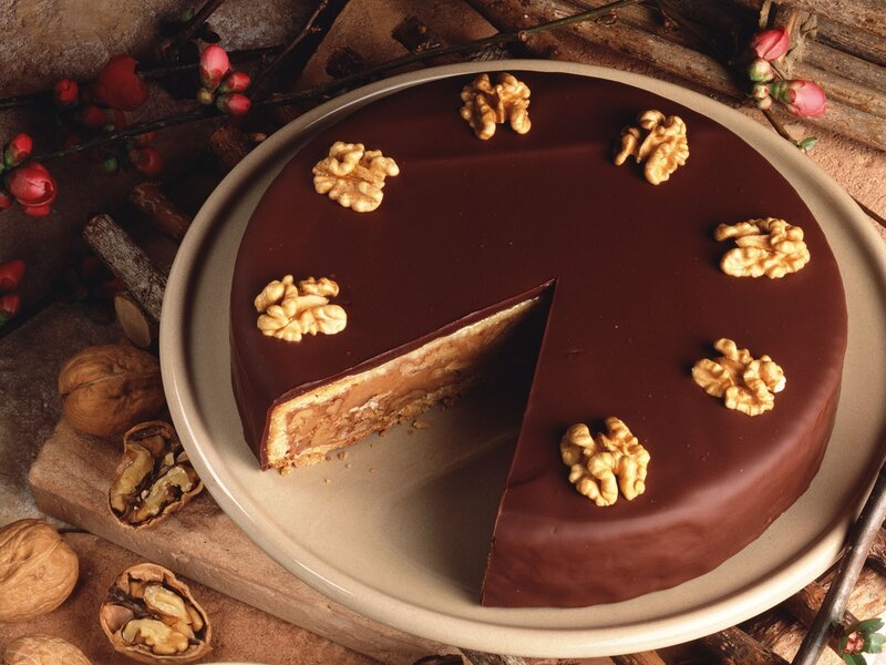 Chocolate Walnut Cake — Brown, Calm
