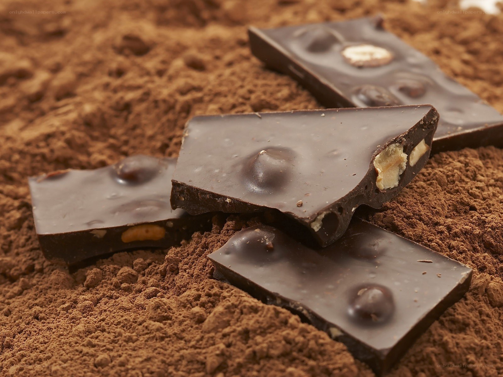 chocolate with nuts on cocoa powder