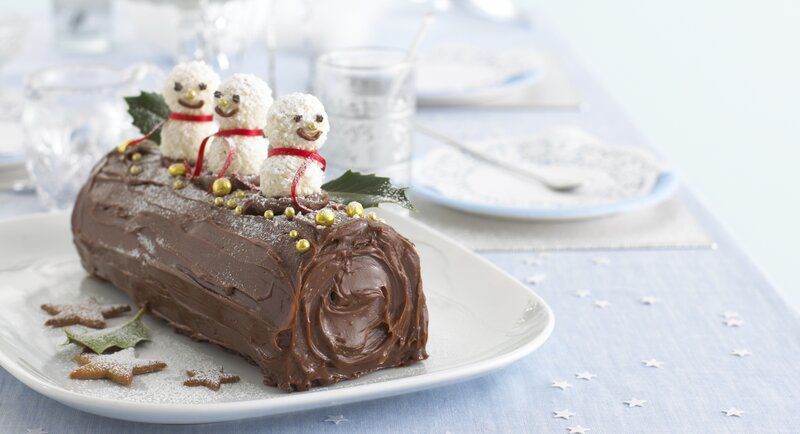 Chocolate Yule Log Cake — Brown, Festive, Winter