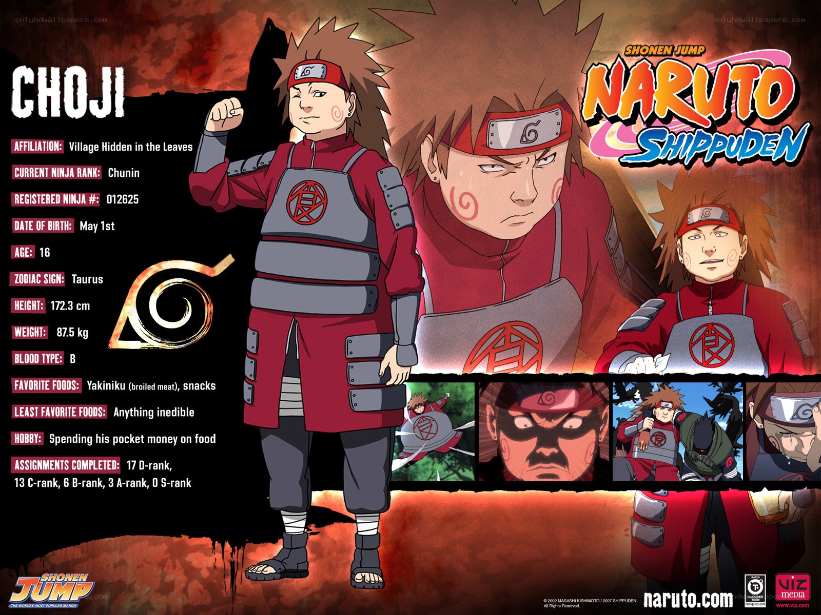 Choji Akimichi character profile