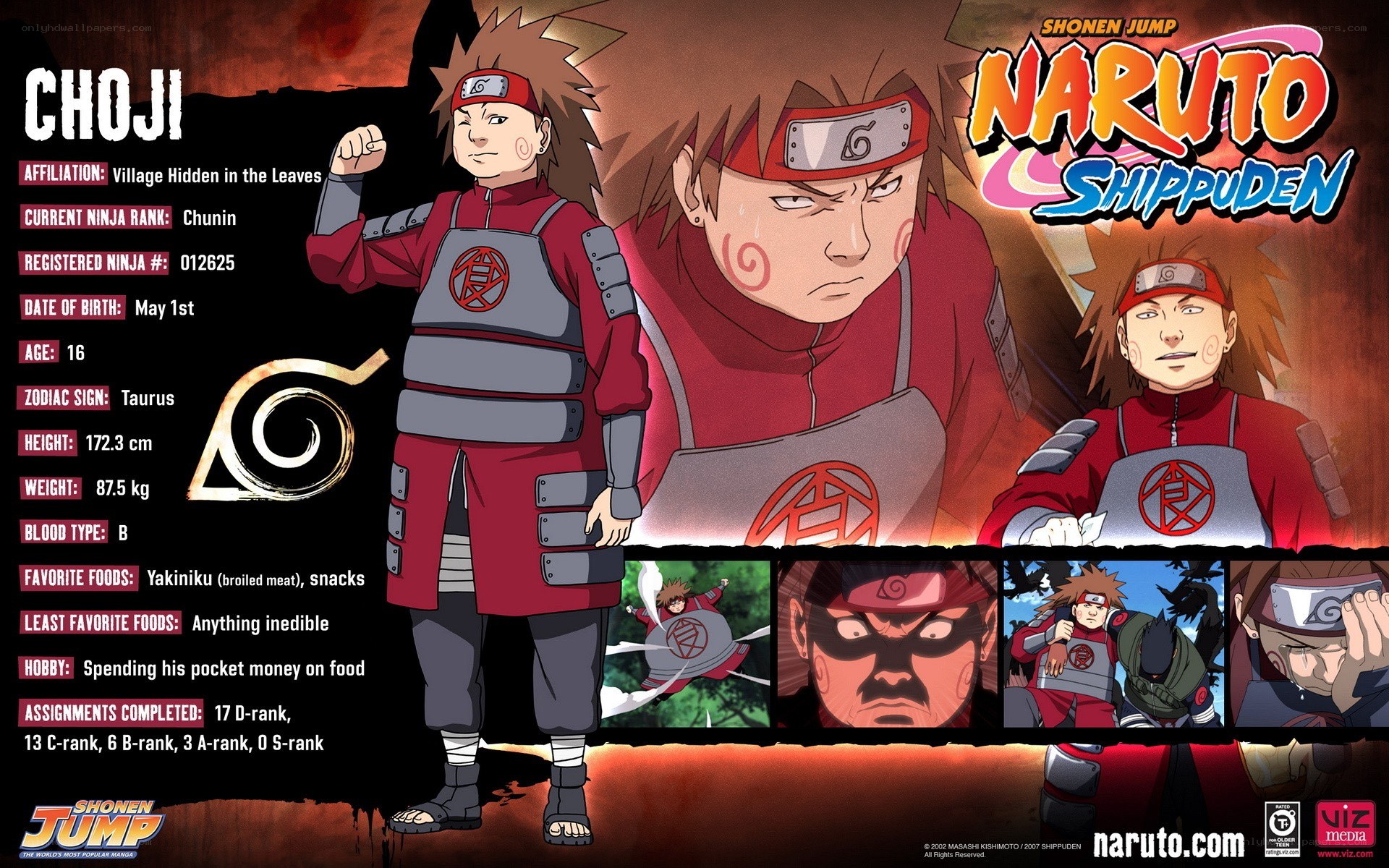 Choji Akimichi character profile