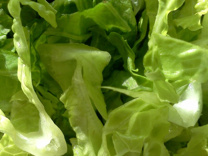 Chopped Green Lettuce