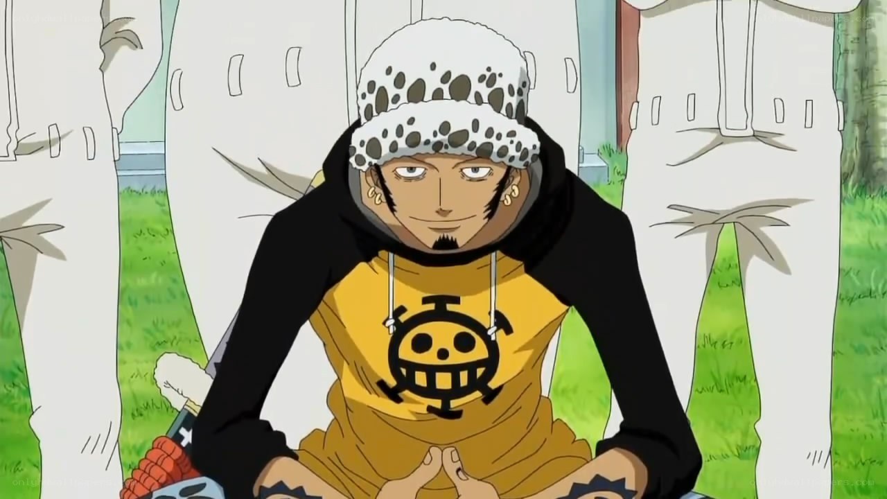 Chopper in a hoodie