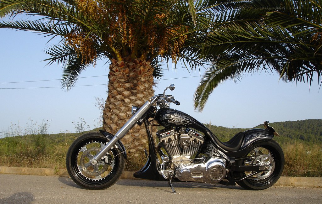 Chopper motorcycle under palm tree
