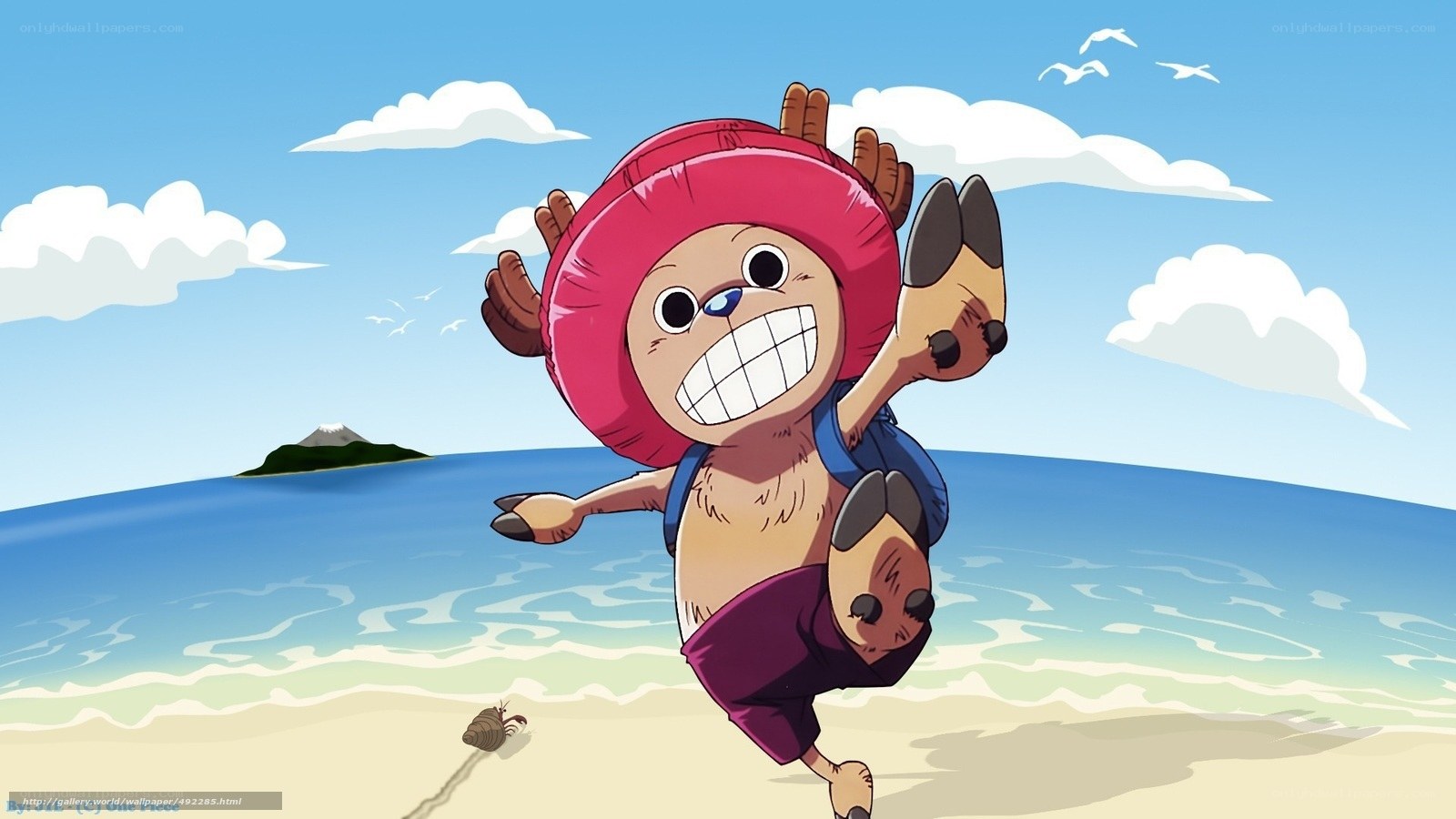 Chopper on a sunny beach