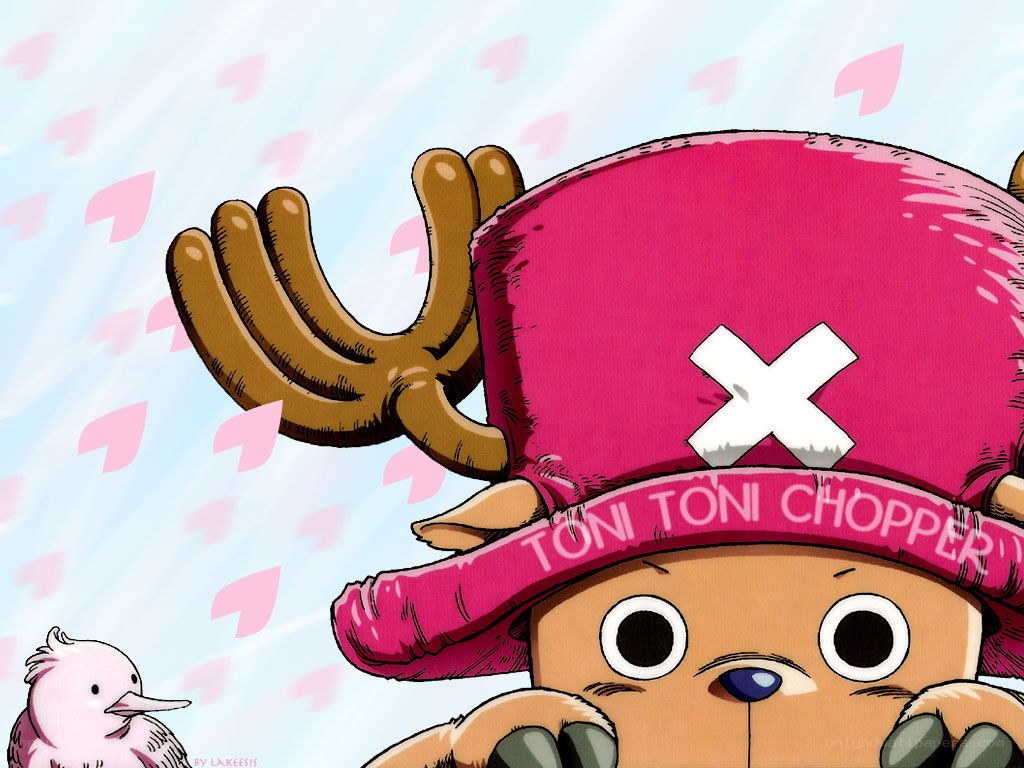 Chopper with pink hat