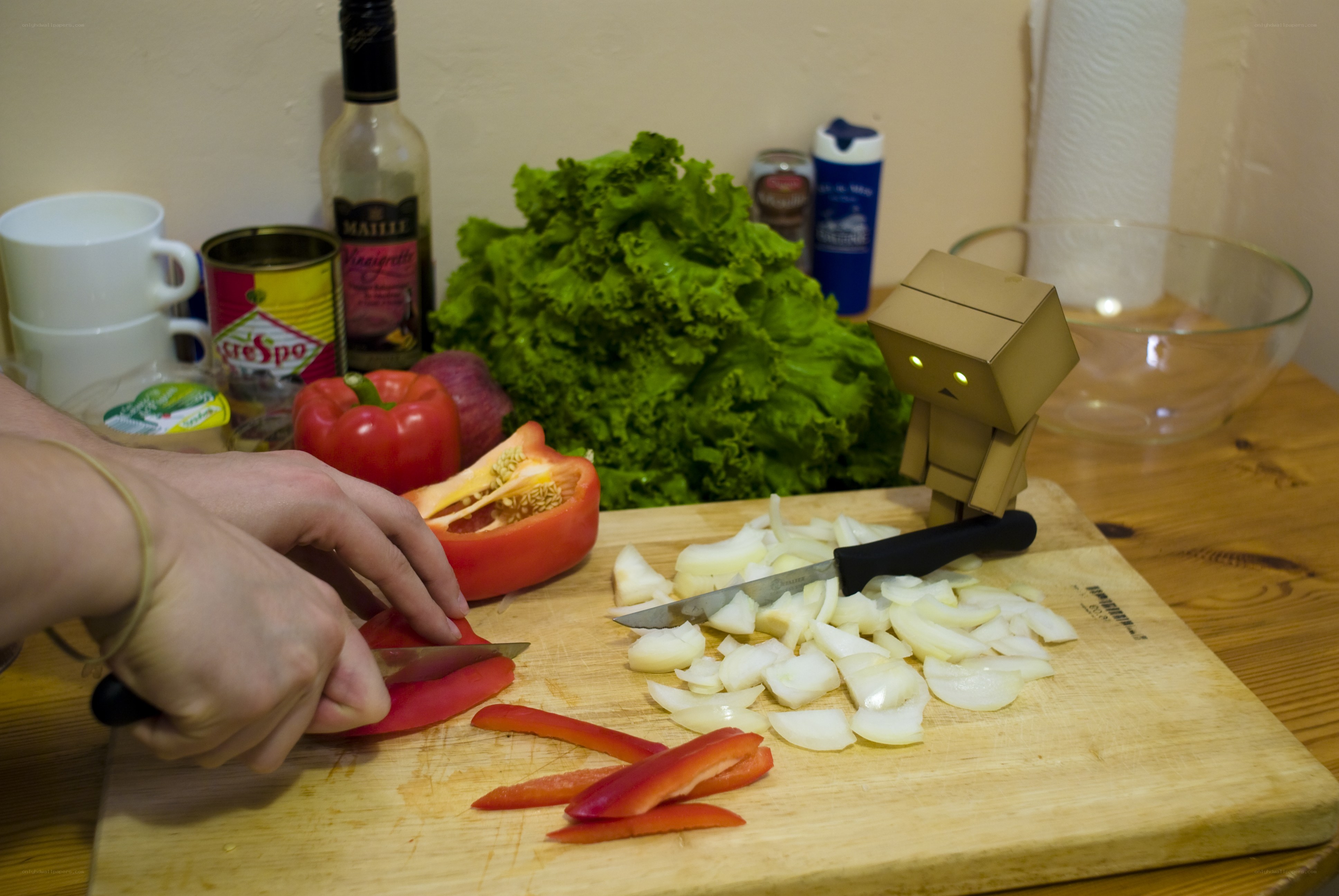 Chopping vegetables with a cardboard robot