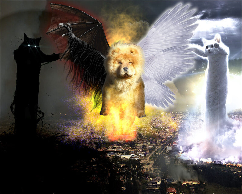 Chow Chow Dog with Wings
