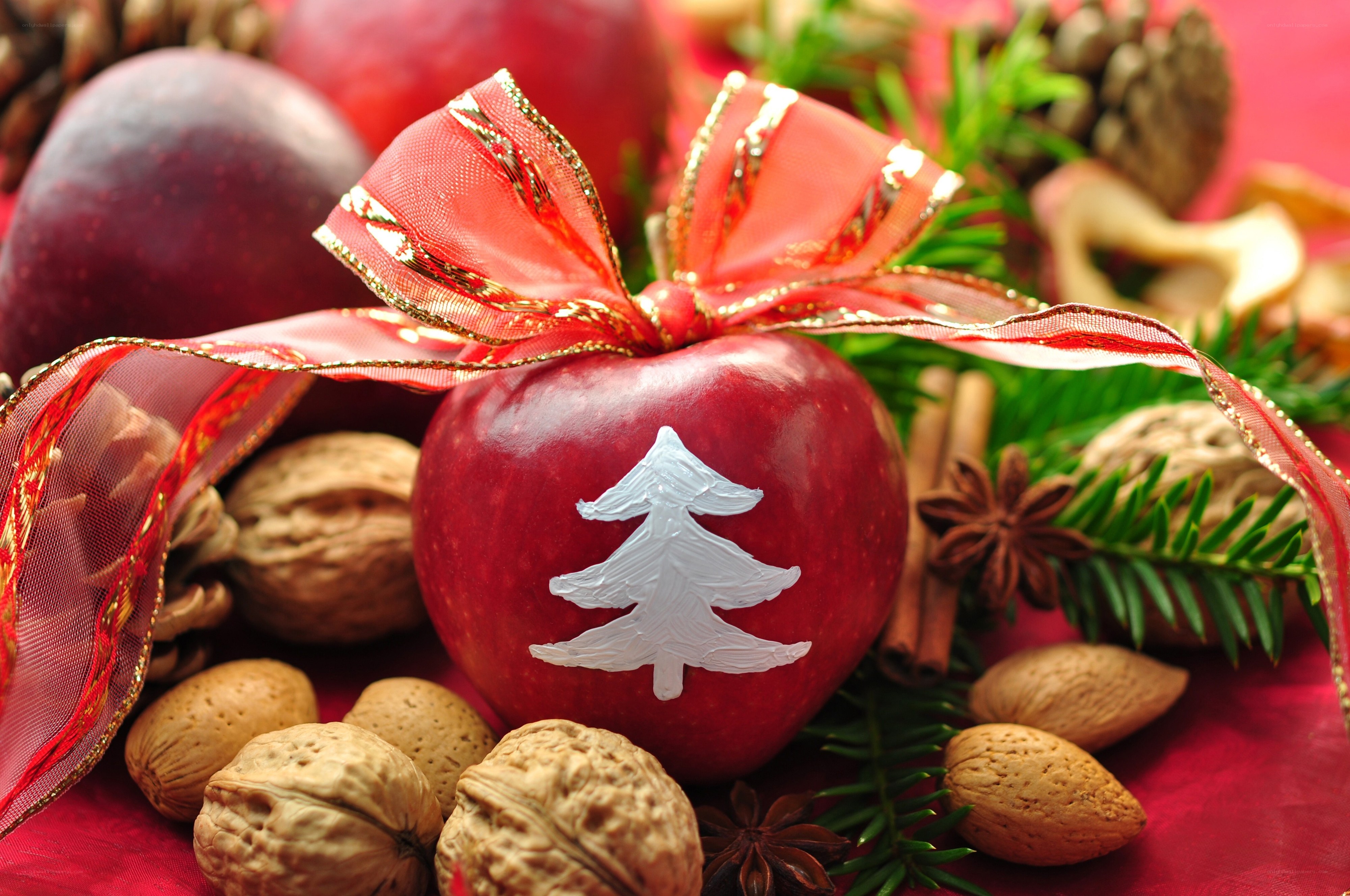 Christmas apple with ribbon