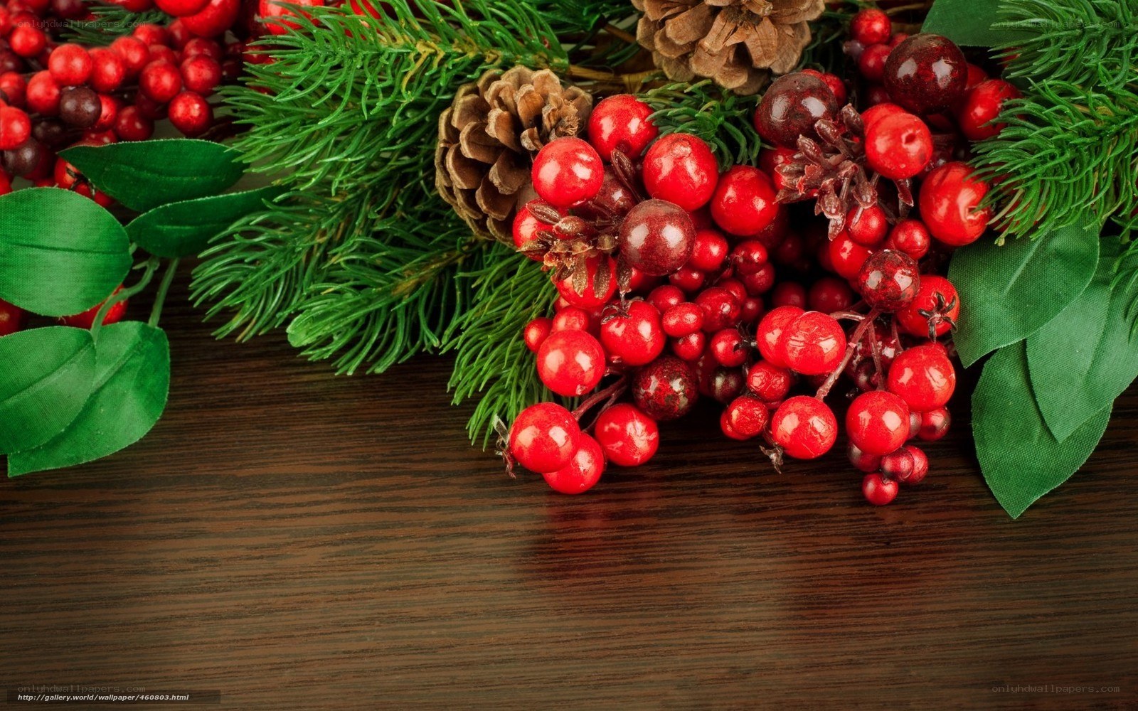 Christmas berries and pine branches
