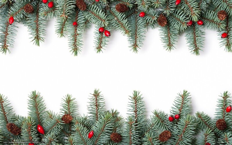 Christmas branch border