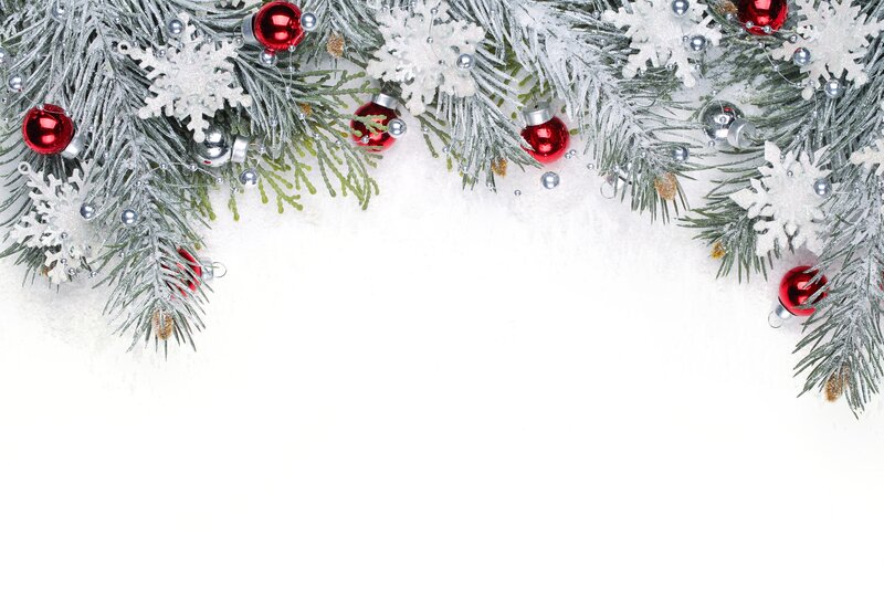 Christmas Branch Border — White