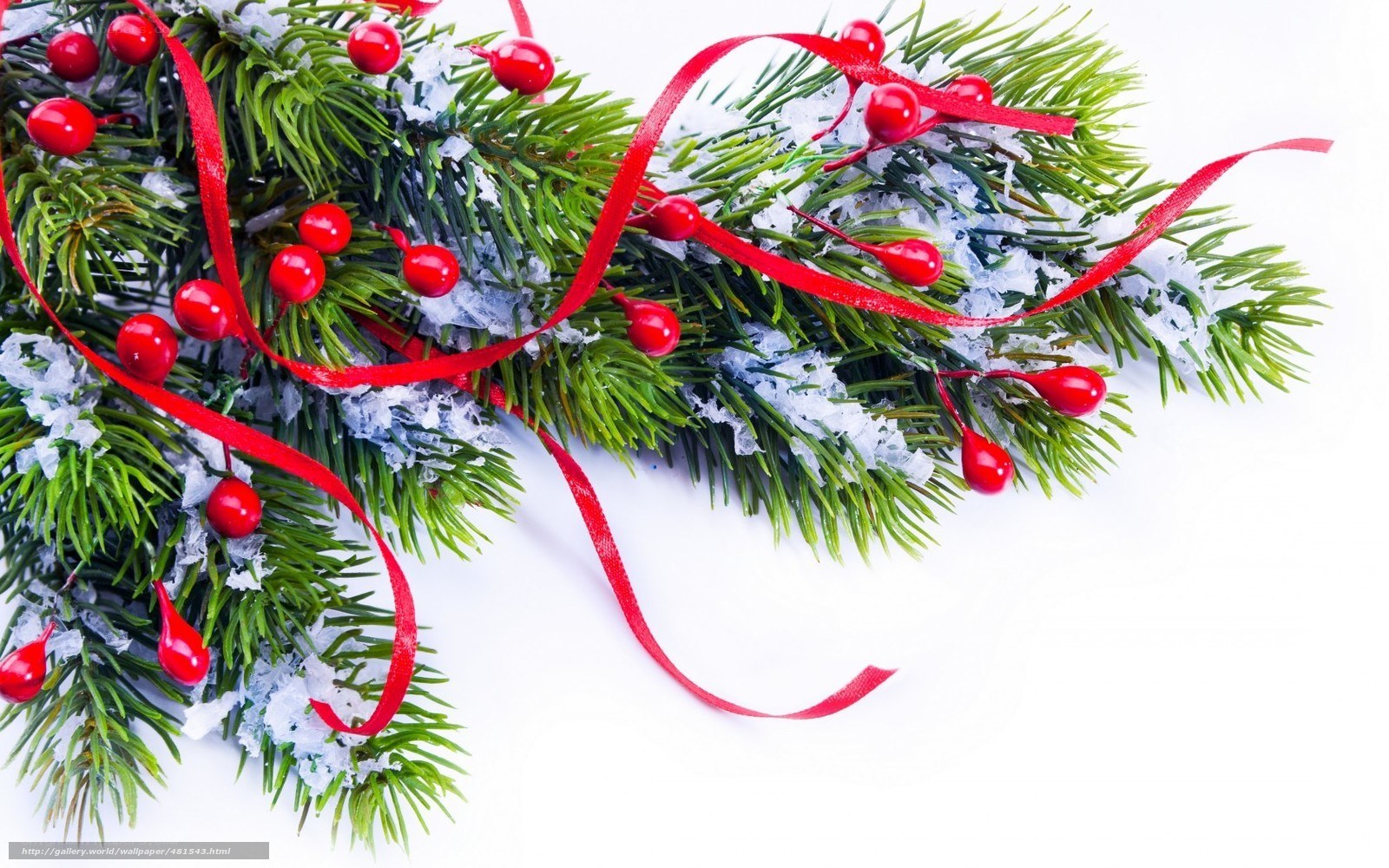 Christmas branch with berries