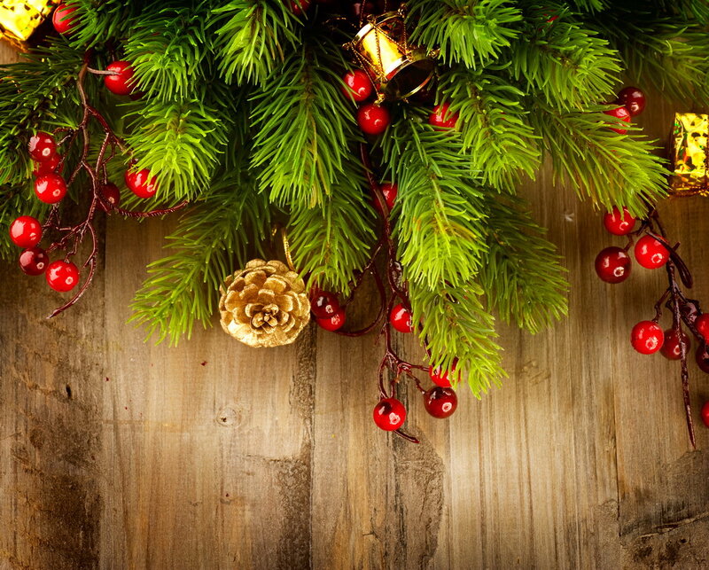 Christmas Branches on Wood — Green