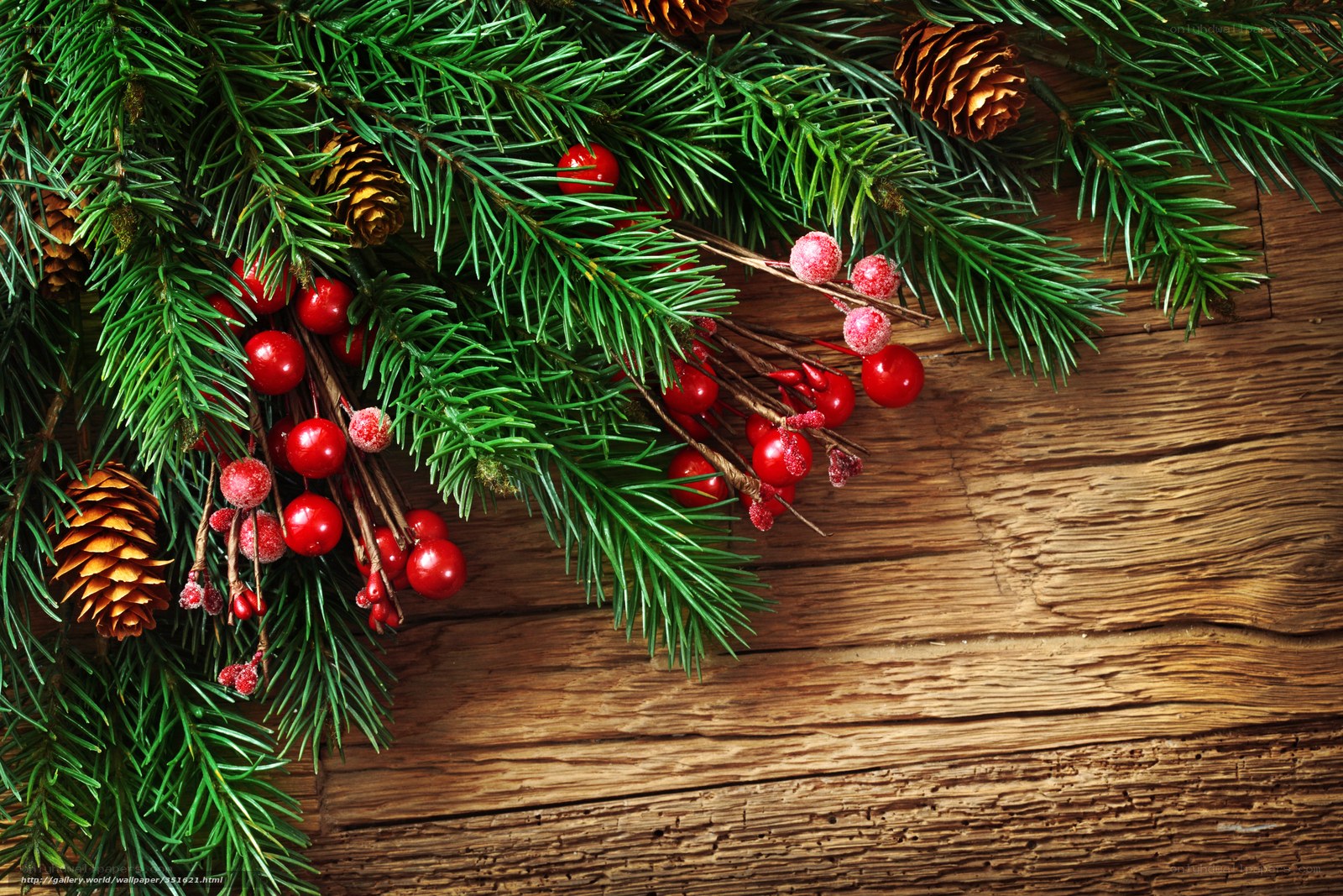 Christmas branches on wood