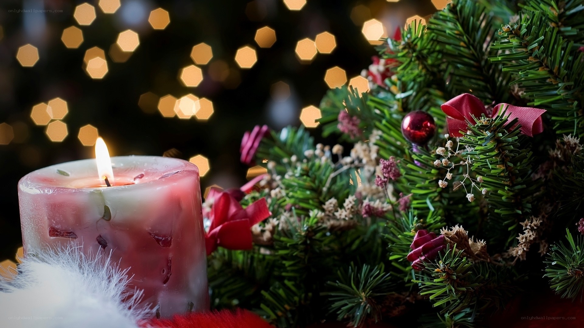 Christmas candle and greenery