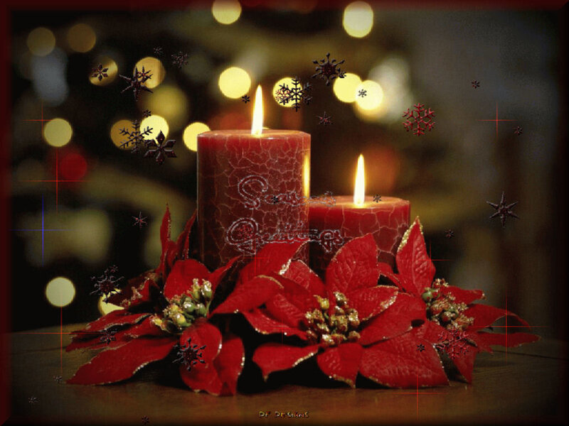 Christmas candles and poinsettia