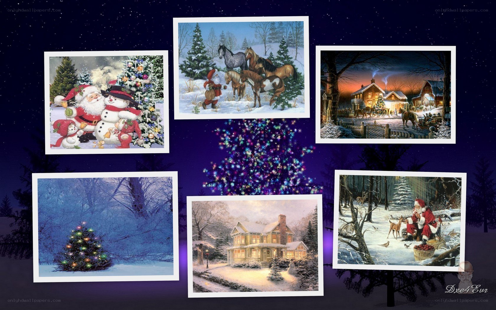 Christmas card collection