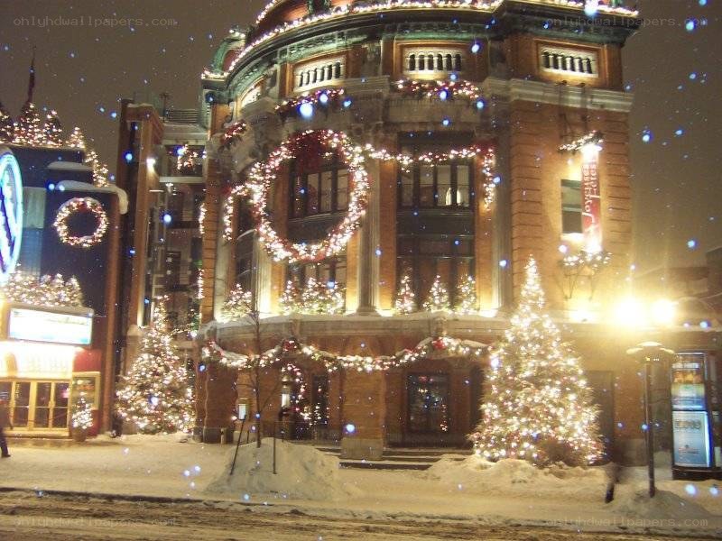 Christmas-decorated building at night