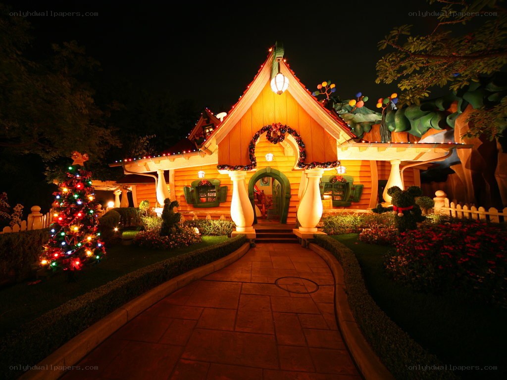 Christmas-decorated house at night
