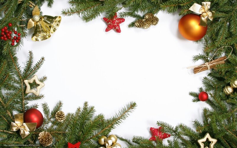 Christmas Decoration Frame — Green, Festive, Winter, Photograph, Pine Branches, Ornaments, Berries