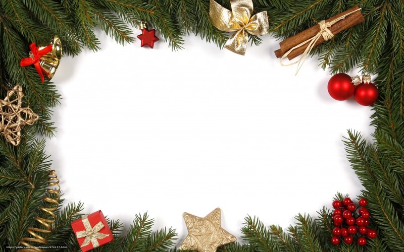 Christmas Decoration Frame — Green, Festive, Winter, Photograph, Pine Branches, Ornaments, Cinnamon Sticks, Berries
