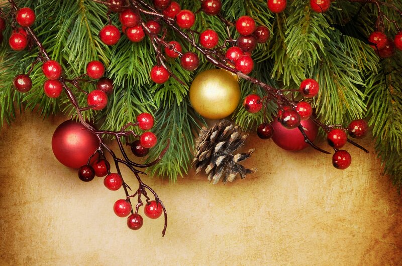 Christmas Decoration — Green, Festive, Winter, Photograph, Pine Branches, Berries