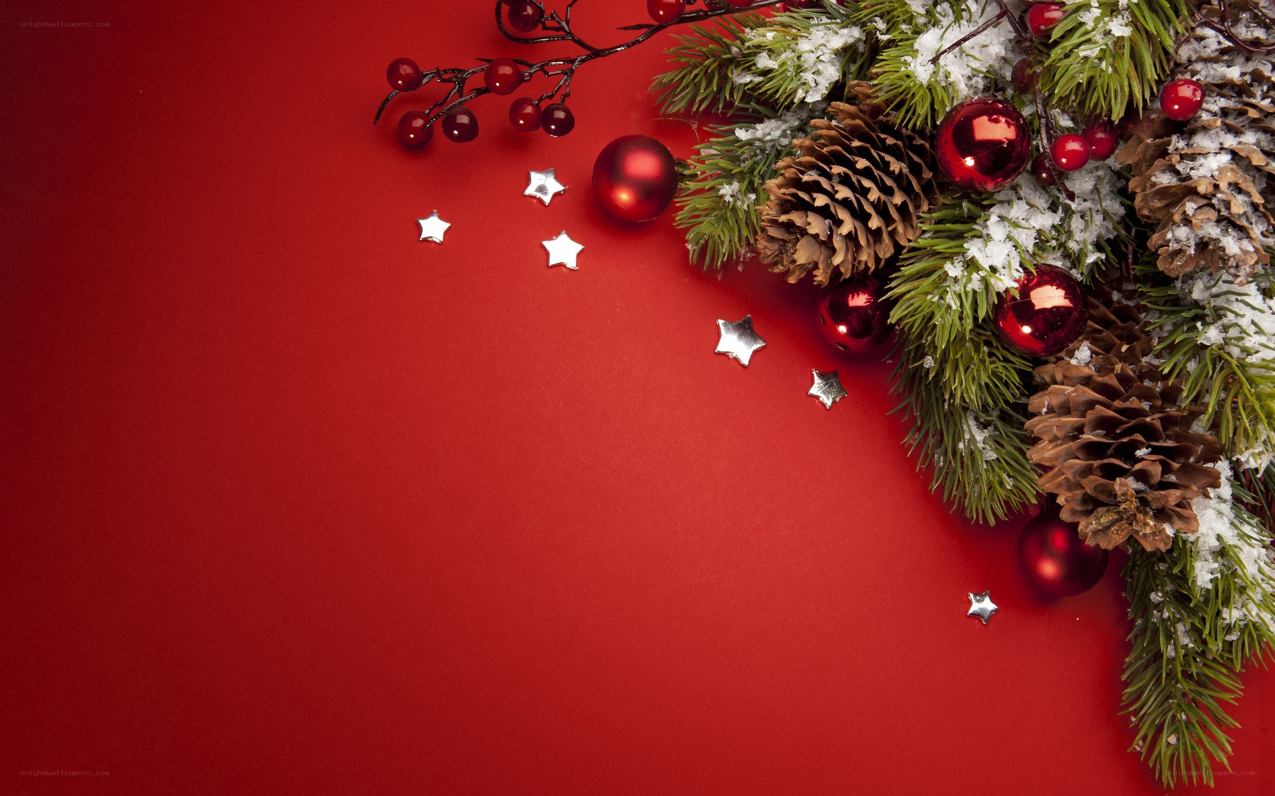 Christmas decoration on red background