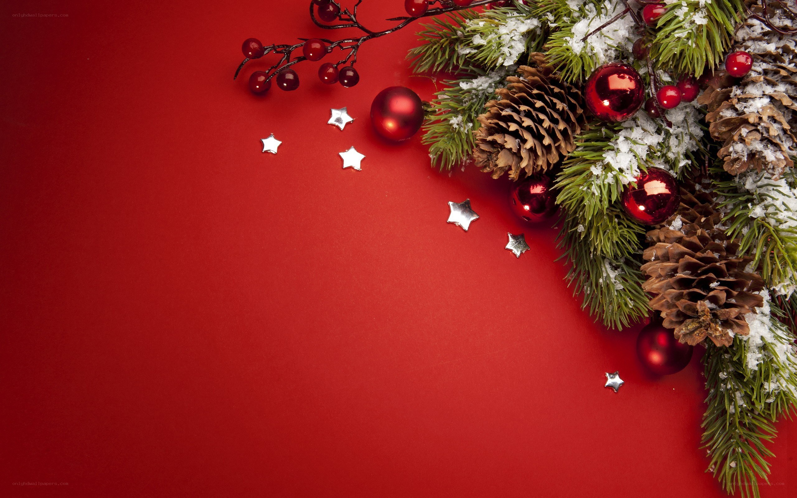Christmas decoration on red background