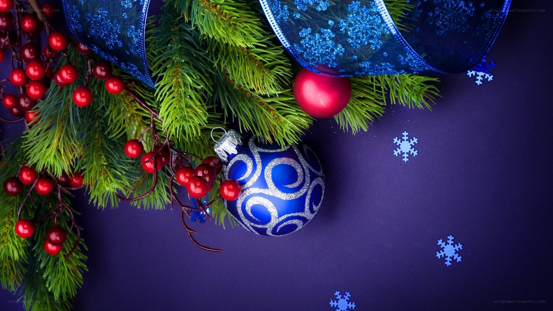 Christmas decoration with berries