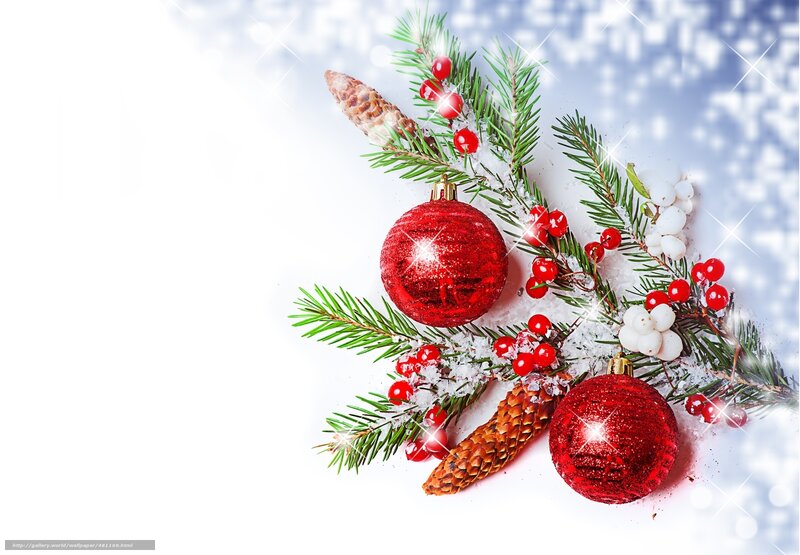 Christmas decoration with red ornaments