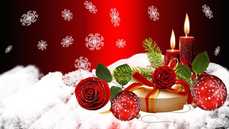 Christmas Decorations in Snow