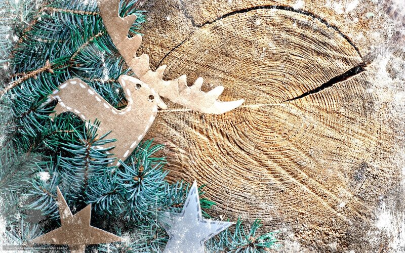 Christmas deer on wood