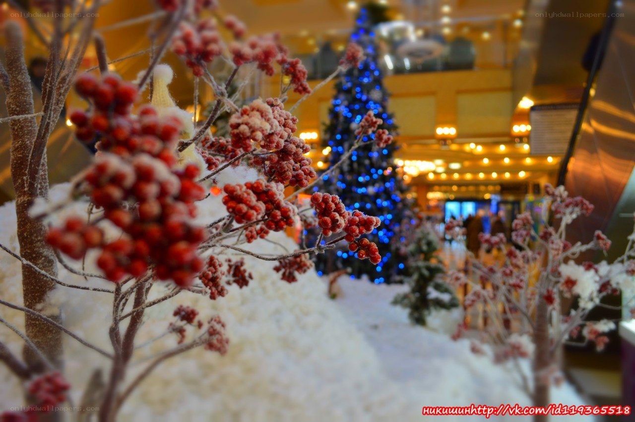 Christmas display with berries and tree
