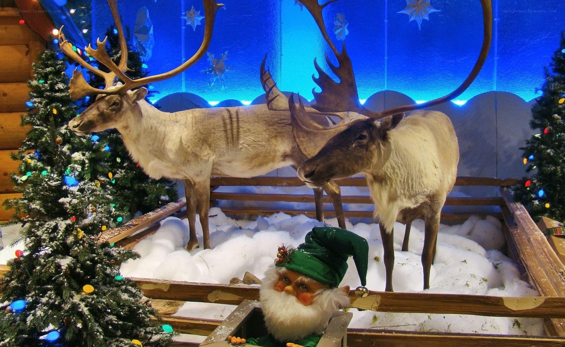 Christmas display with reindeer