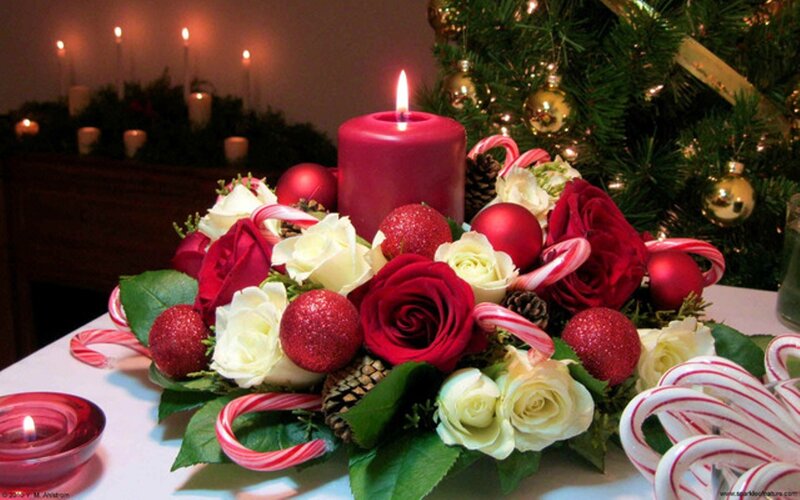 Christmas Floral Arrangement — Red, Festive, Night, Photograph