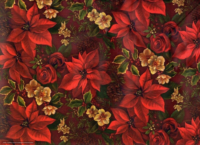 Christmas floral pattern