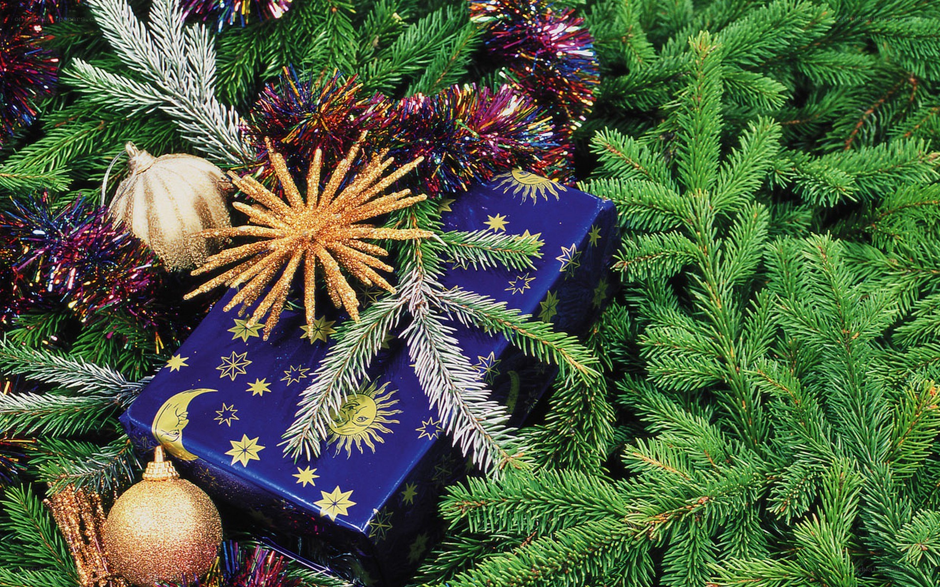 Christmas gift among pine branches