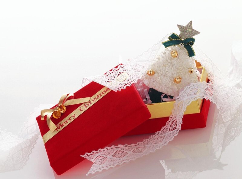 Christmas gift box with tree